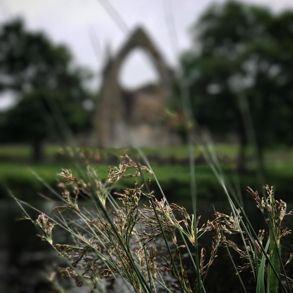 Bolton Abbey by Lee Elvin